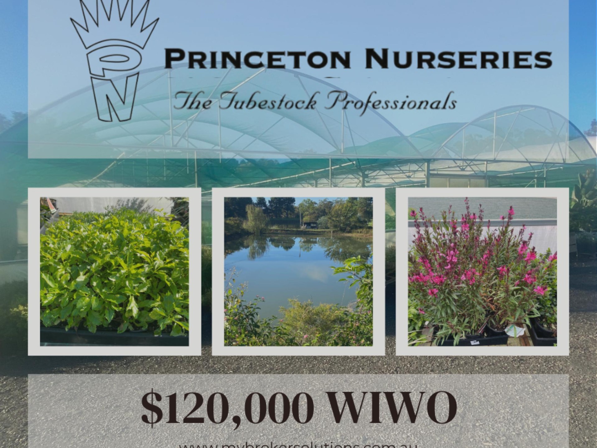 Plant the seed for your future