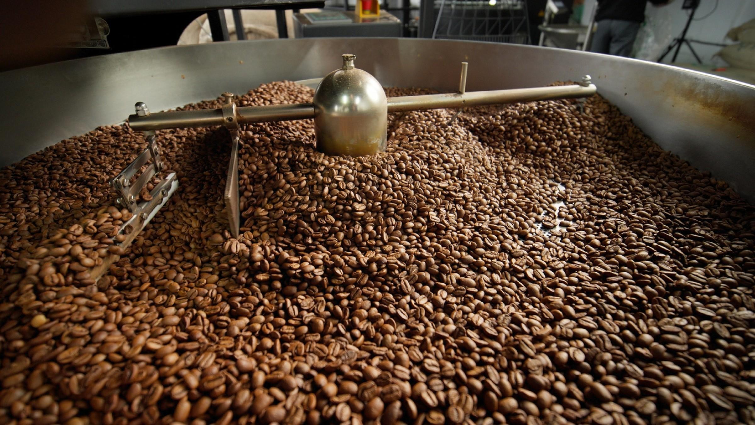 Sunshine Coast Specialty Coffee Roastery