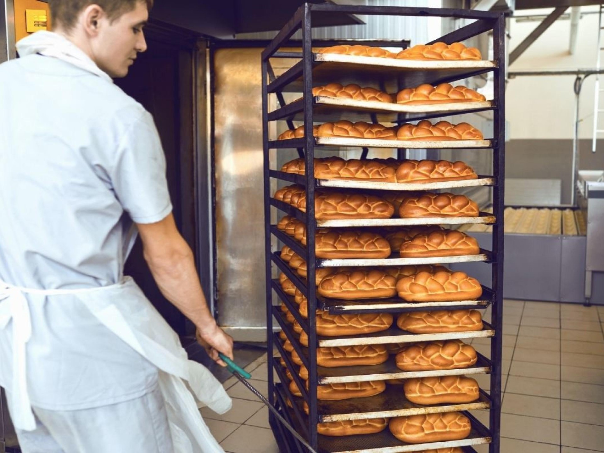 Bread Manufacturing /Wholesale Opportunity on the Gold Coast  $277,583 profit to working owner