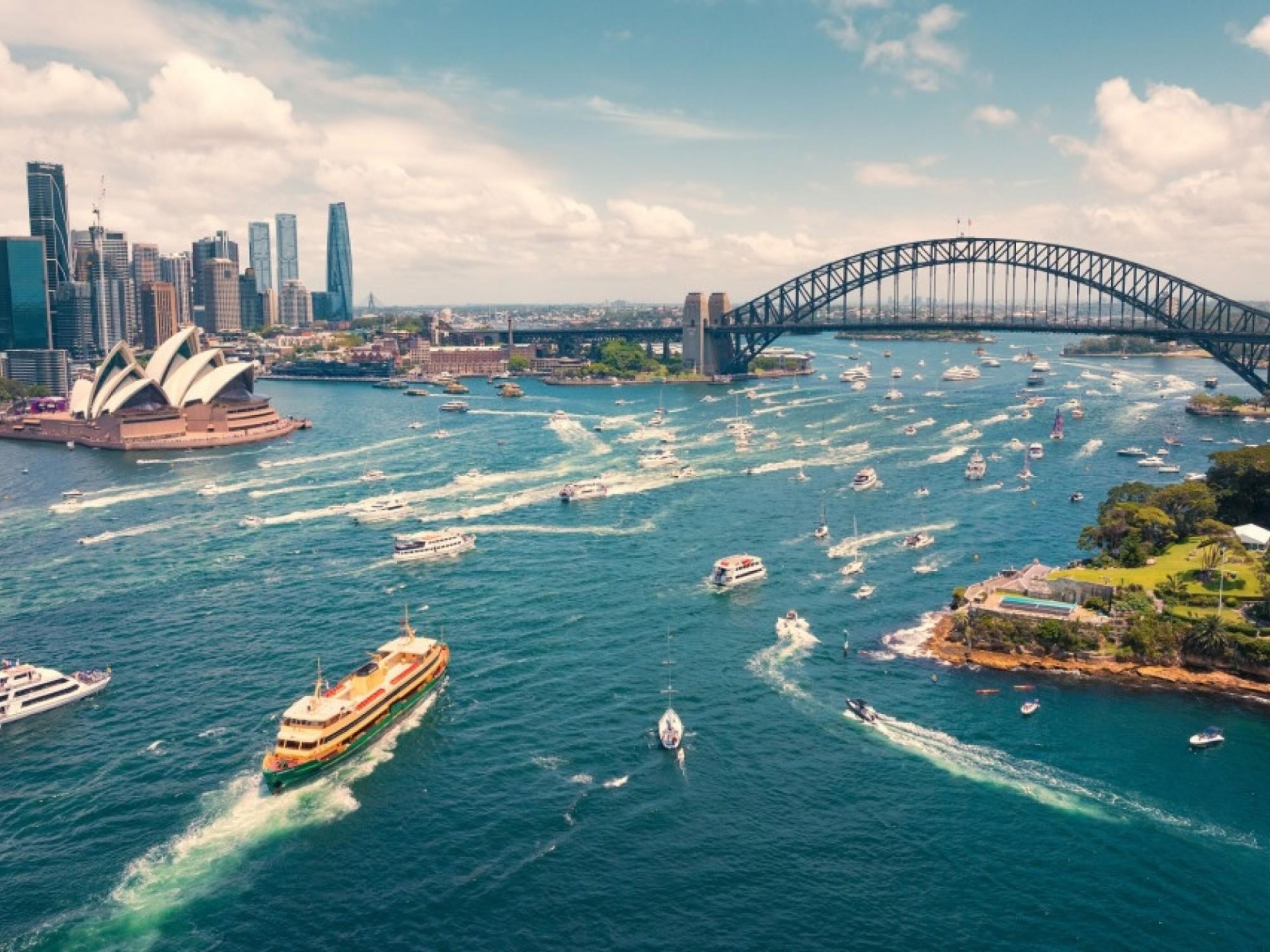 Sydney Harbour's Premier Luxury Cruiser | Turnkey Operation | Sales $3.4m FY25