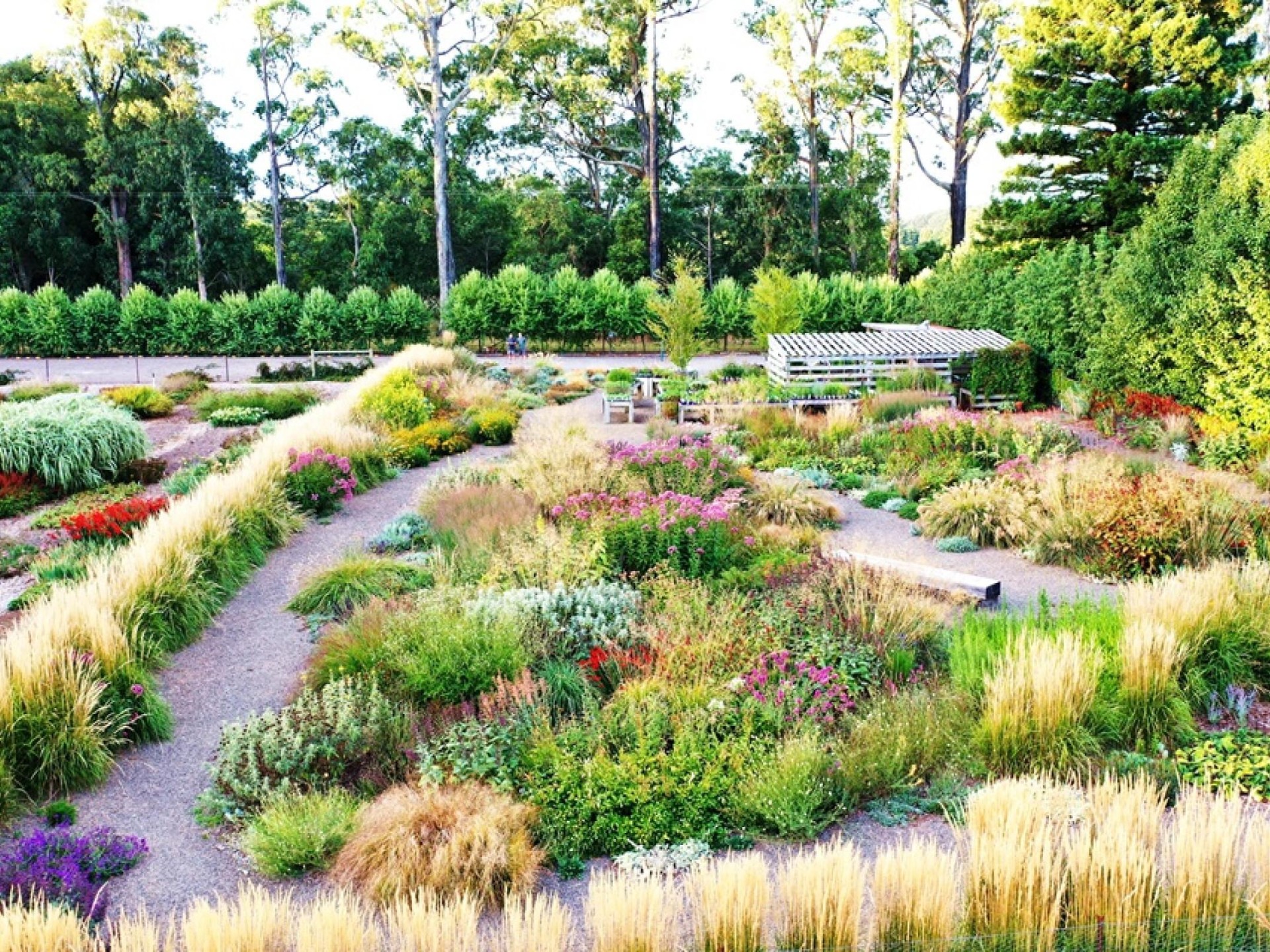 Wholesale & Retail Nursery | Established Perennials Nursery Opportunity | VIC