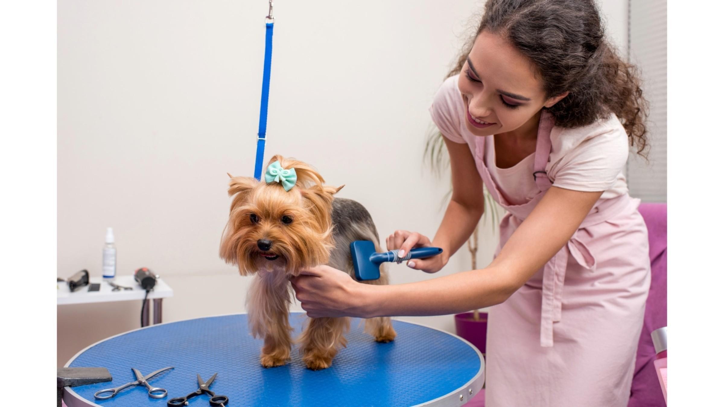 Ref: 238 Modern, Newly Renovated Pet Grooming Salon  Fast-Growing, Sutherland Shire