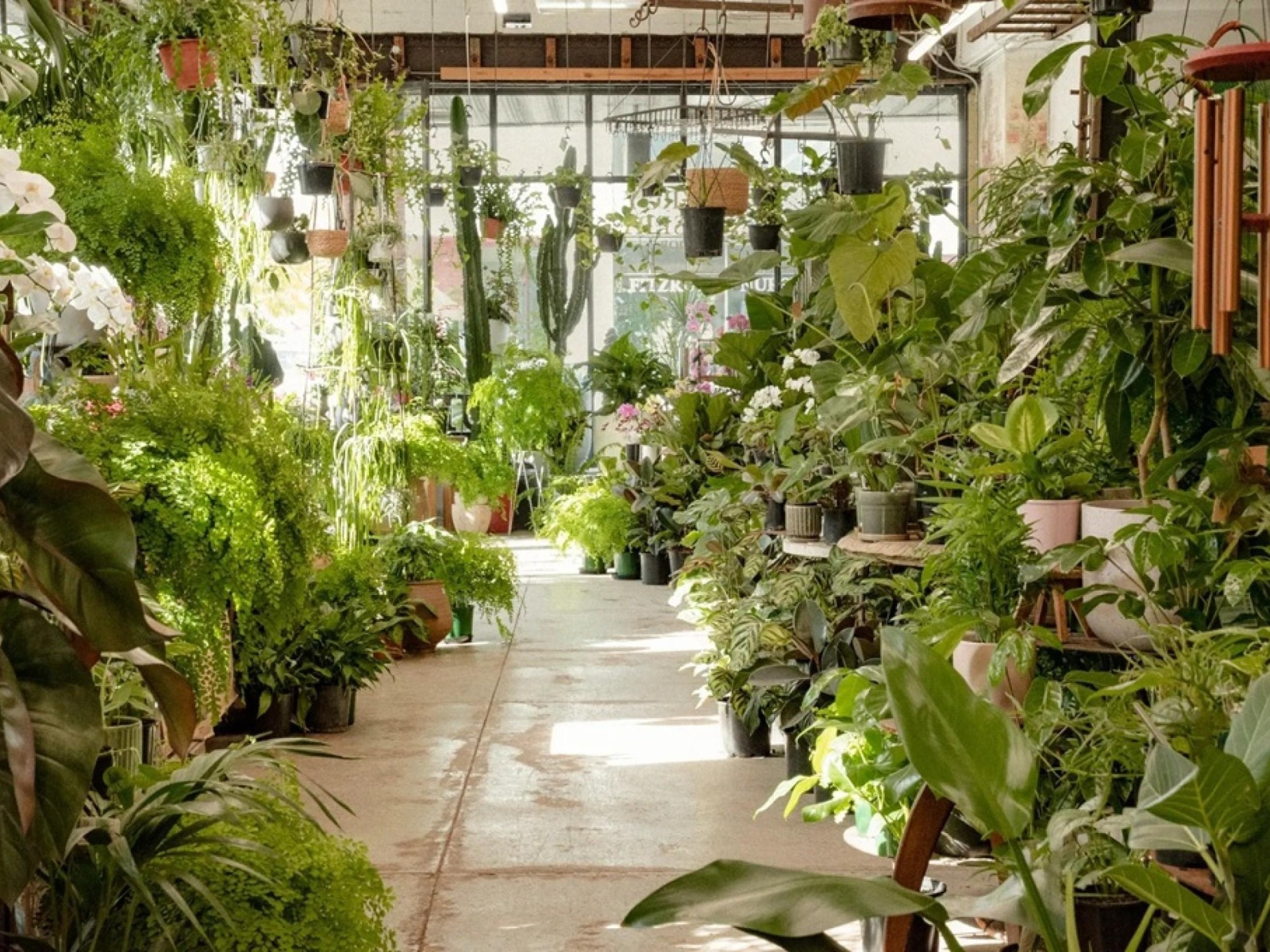 Fitzroy Nursery  Iconic CBD Nursery.