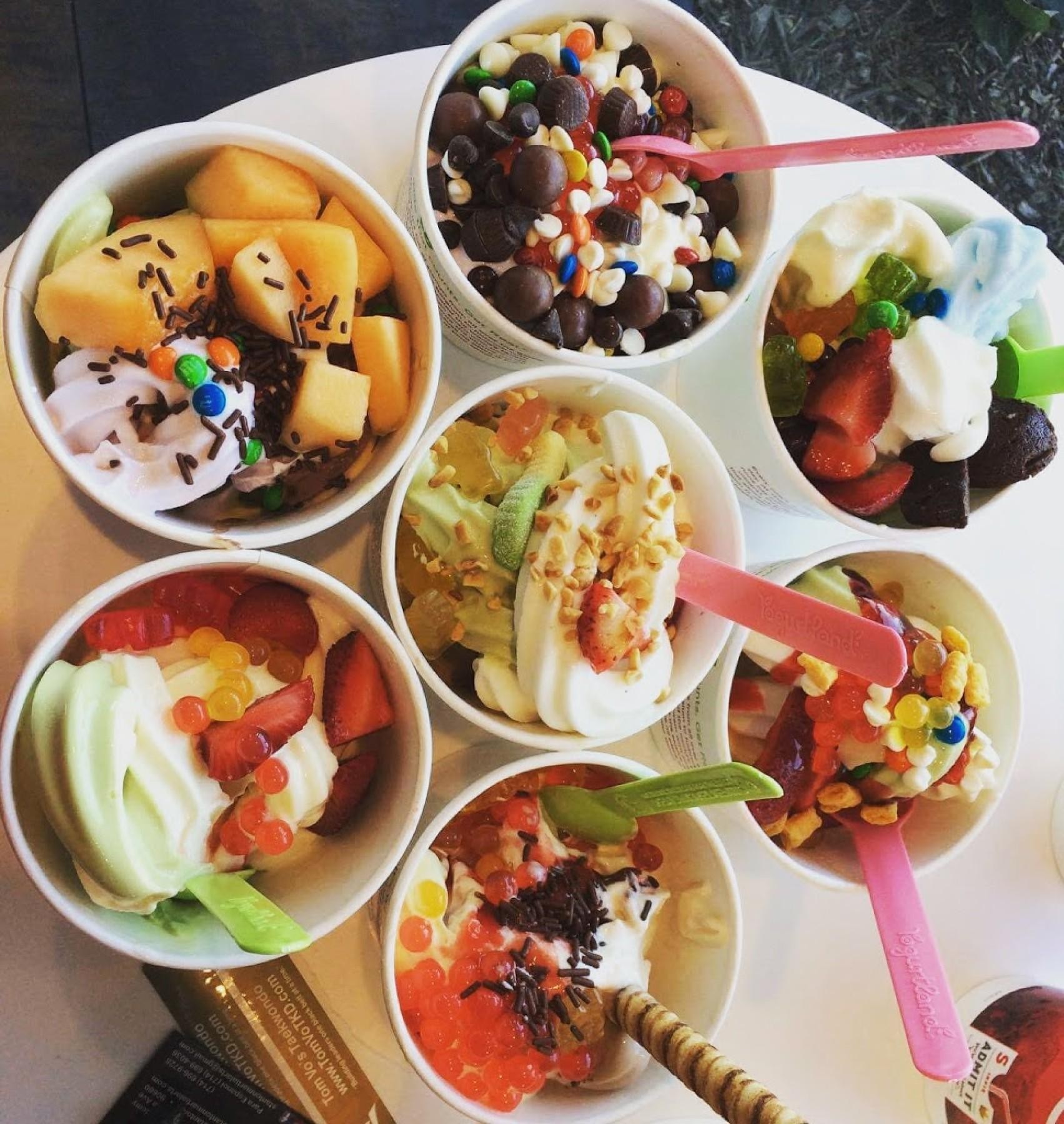 Frozen Yogurt Franchise - Established Business - Urgent Sale