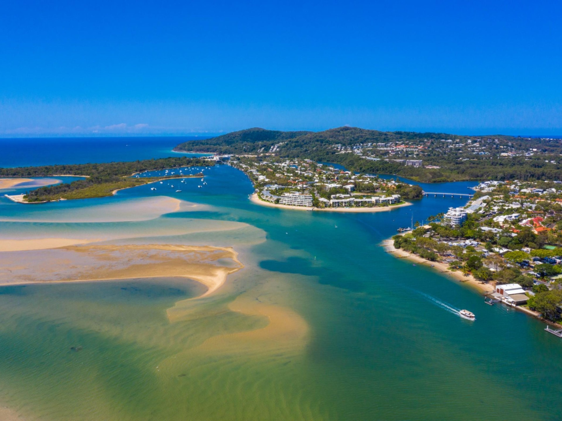Noosa $1.3 million Profit