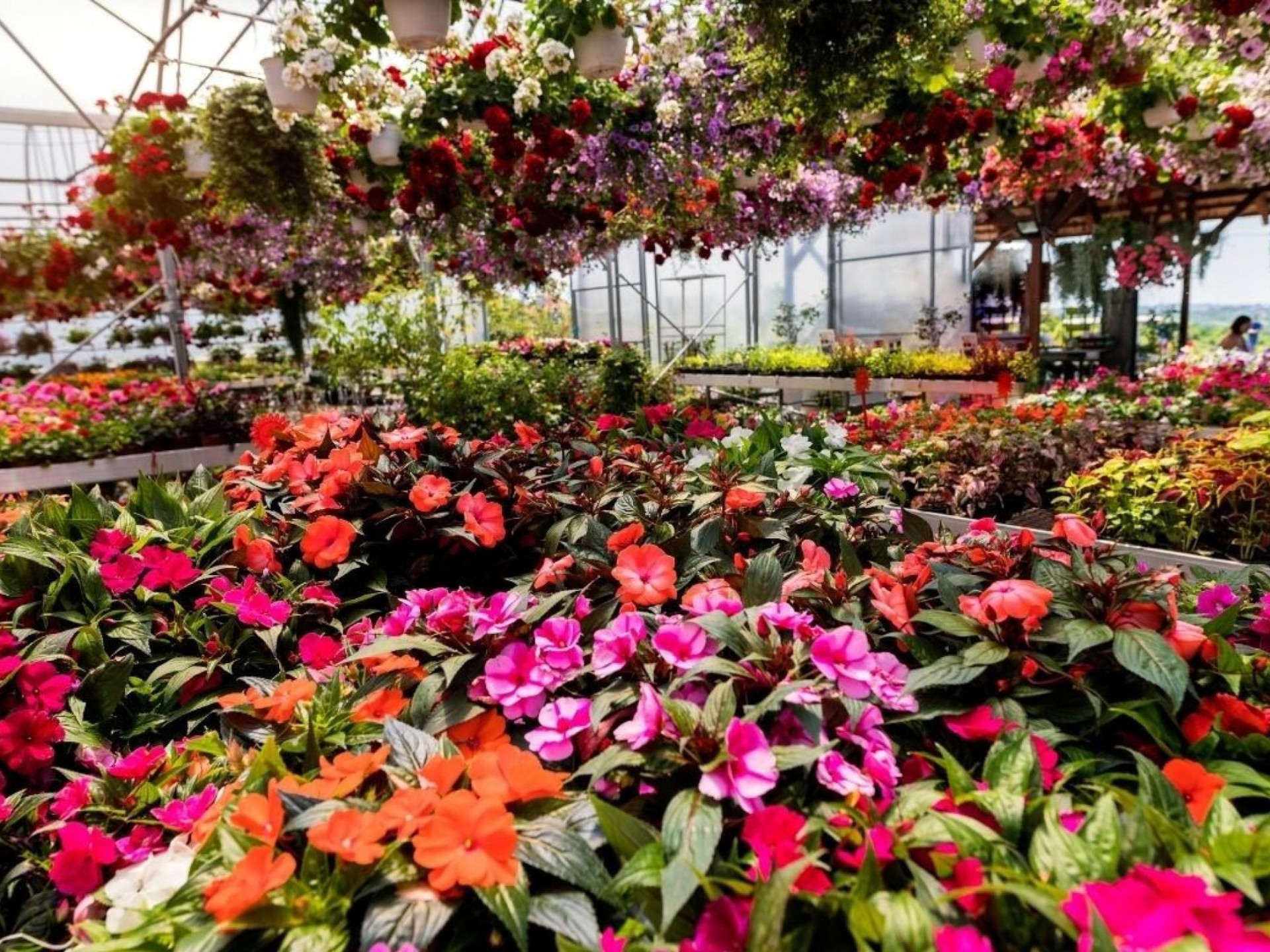 Established Garden Centre and Landscape Supplies with Significant Growth Potential
